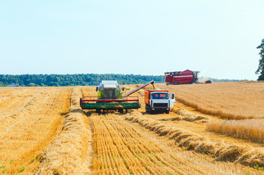 Similar image 8172681