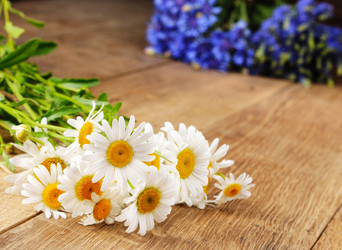 Similar image 8172691