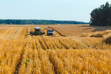 Similar image 8172698