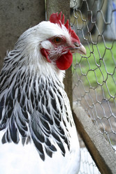 Similar image 8172759