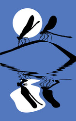 Similar image 8172769