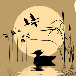 Similar image 8172809