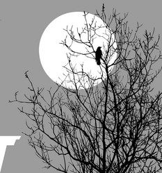 Similar image 8172832