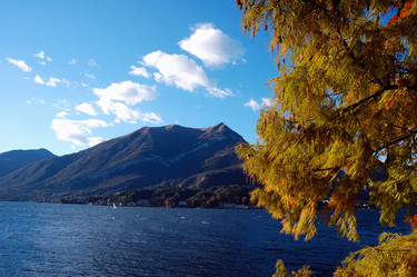 Similar image 8172876