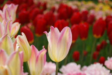 Similar image 8172895