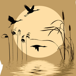 Similar image 8172900