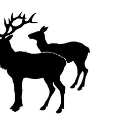 Similar image 8172935