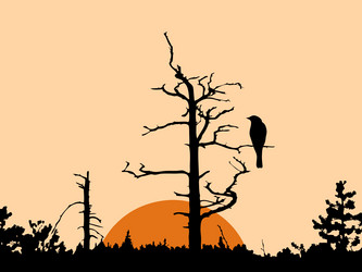 Similar image 8172959