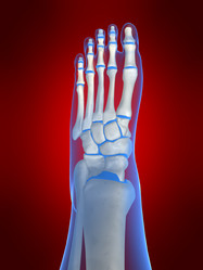 Similar image 8172964