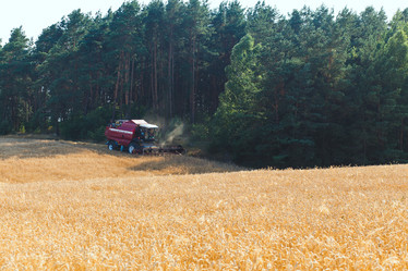 Similar image 8172972