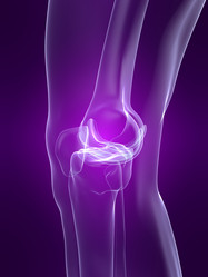 Similar image 8172986