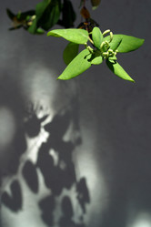 Similar image 8172999