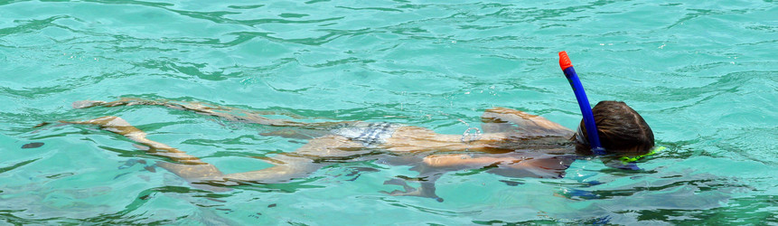 Similar image 8173009