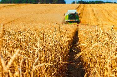 Similar image 8173011