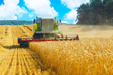 Similar image 8173081