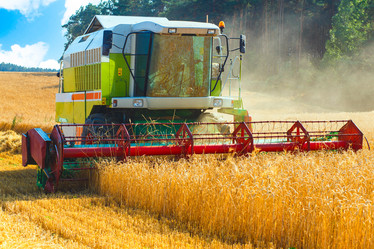 Similar image 8173084