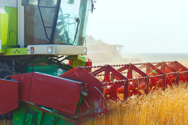 Similar image 8173092