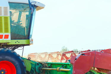 Similar image 8173094