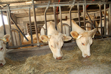 Similar image 8173098