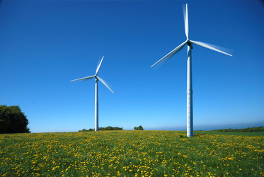 Similar image 8173102