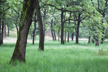 Similar image 8173101