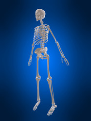 Similar image 8173108