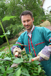 Similar image 8173109