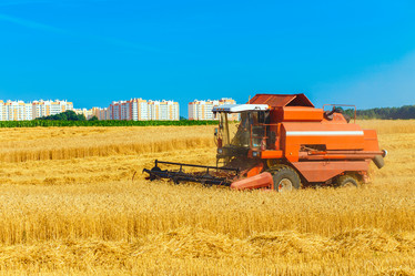 Similar image 8173113