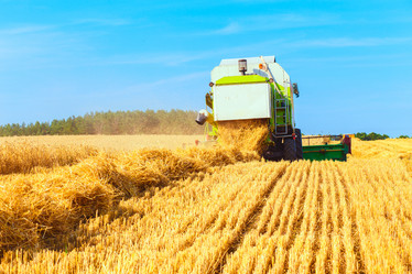 Similar image 8173114