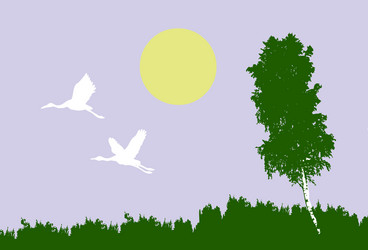 Similar image 8173119