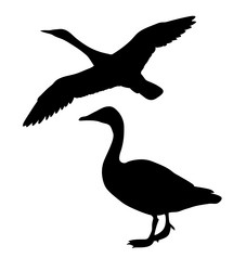 Similar image 8173127