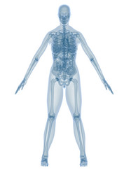 Similar image 8173134