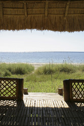 Similar image 8173135