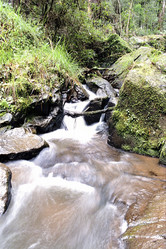 Similar image 8173166