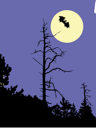 Similar image 8173175