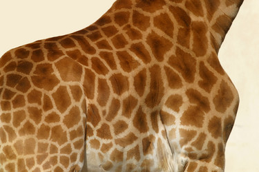 Similar image 8173176