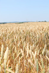 Similar image 8173189