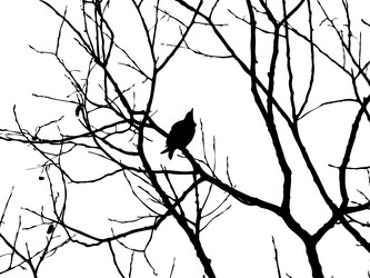 Similar image 8173208