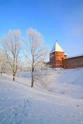 Similar image 8173215