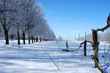 Similar image 8173227