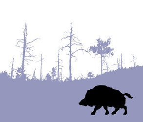 Similar image 8173283