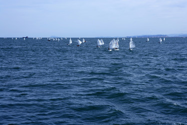 Similar image 8173298