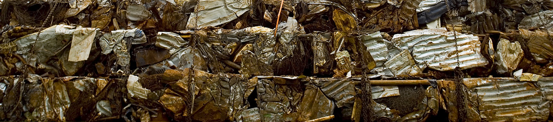 Similar image 8173315