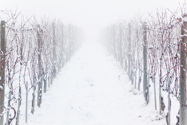 Similar image 8173321