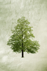 Similar image 8173357