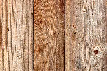 Similar image 8173364