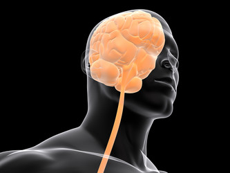 Similar image 8173369