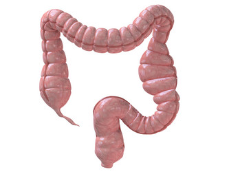 Similar image 8173396