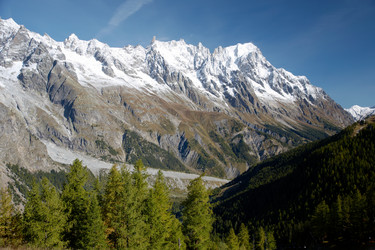 Similar image 8173411