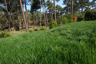 Similar image 8173421